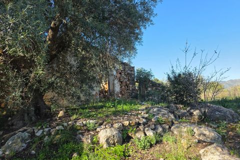 Ruina en Comares, Malaga, Comares - € 95.000 | Ref: AX1374 - photo 8